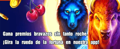 Bonos increíbles en Casongo